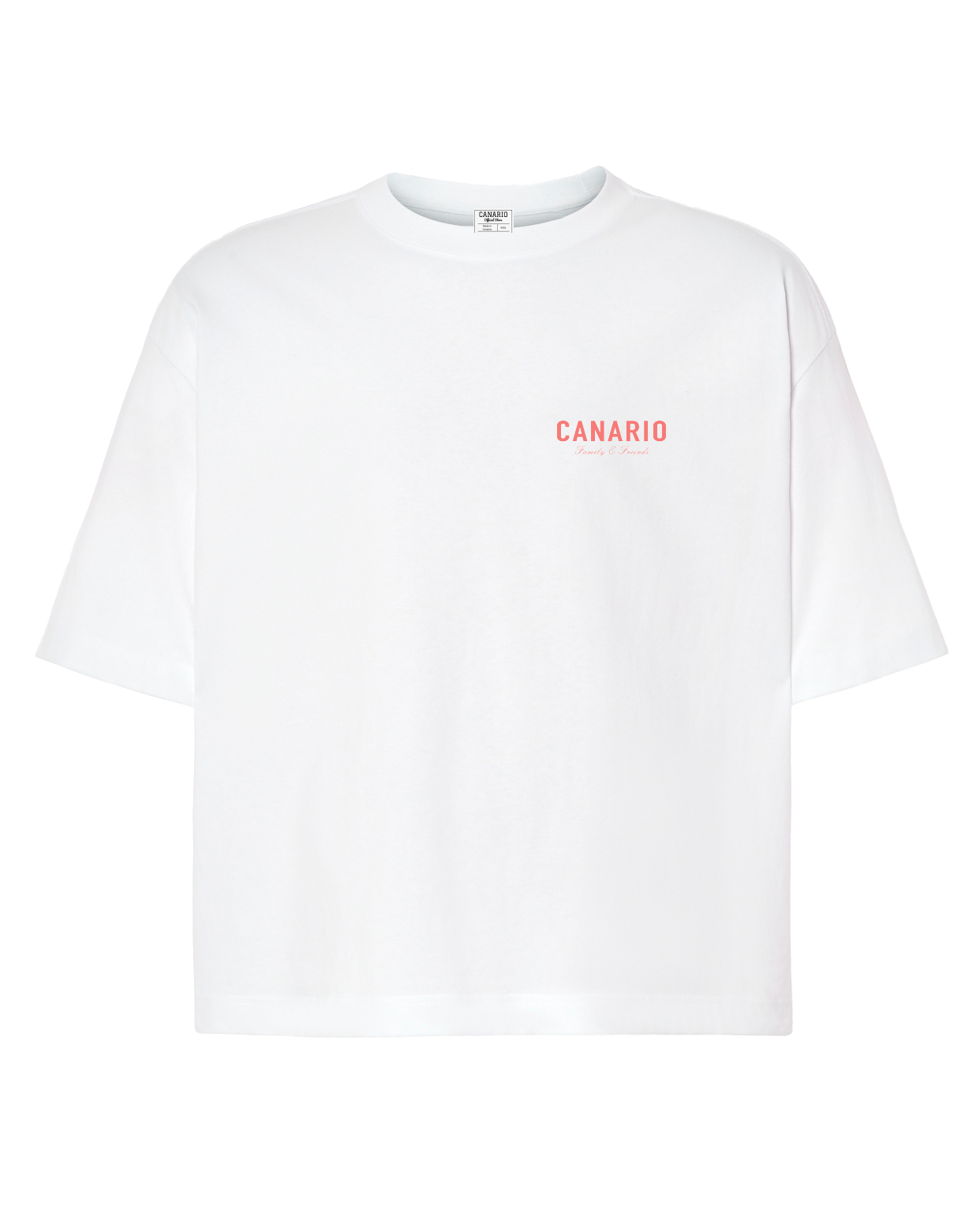 Camiseta Family & Friends Boxy