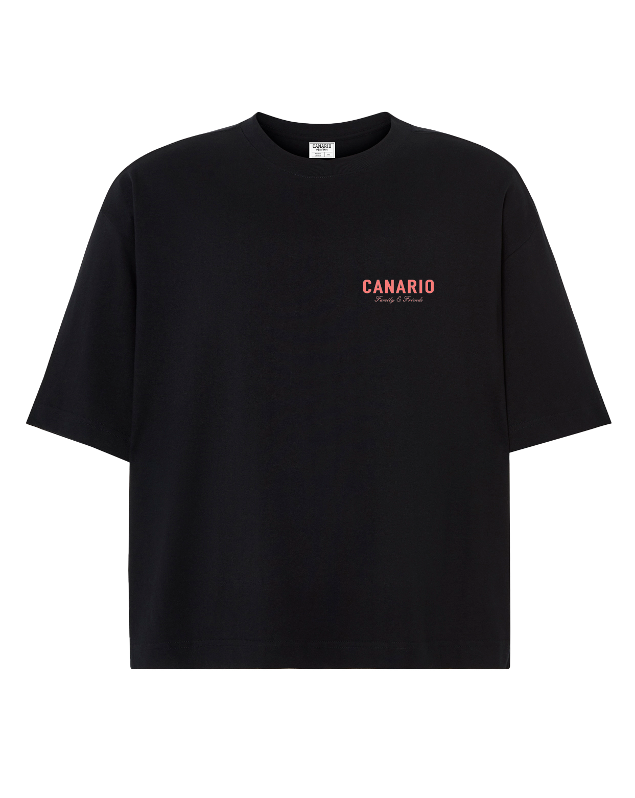 Camiseta Family & Friends Boxy