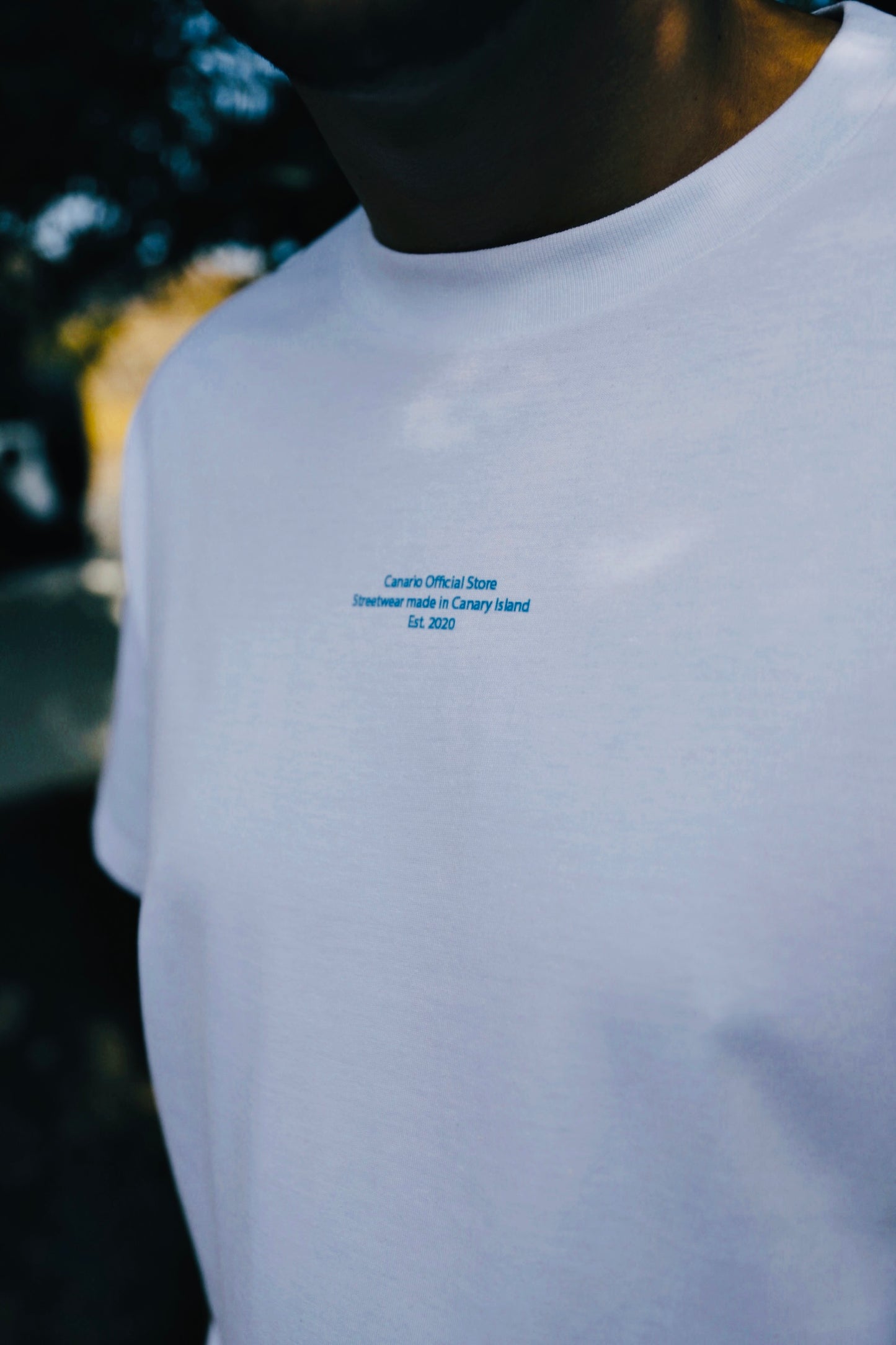 Camiseta Casa Típica