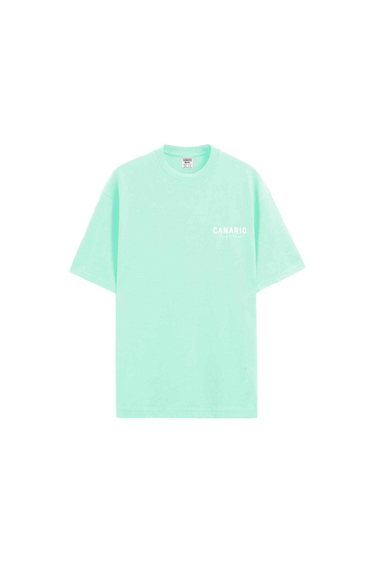 Camiseta Oversize Family & Friends