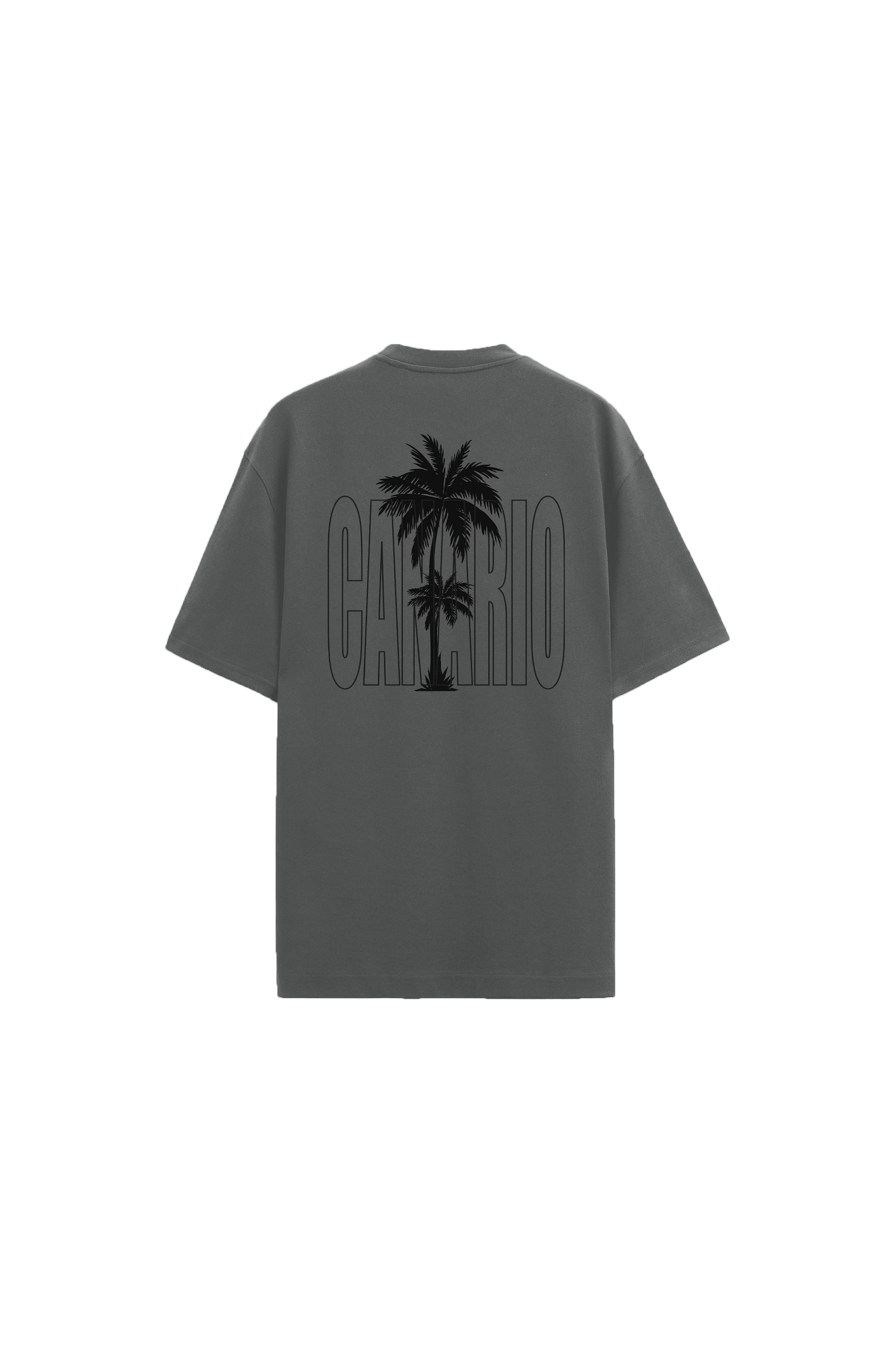 Camiseta Only Locals