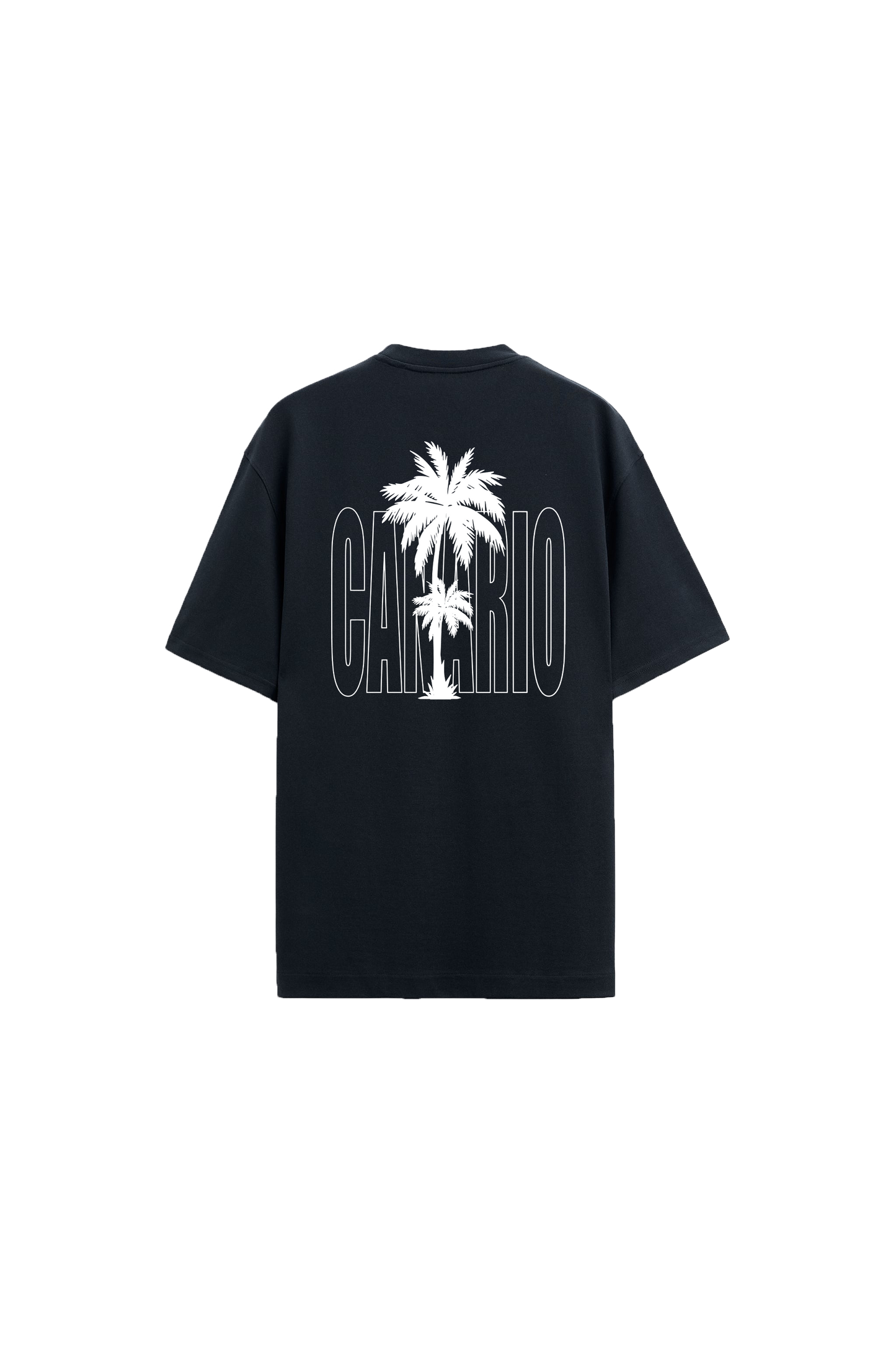 Camiseta Only Locals