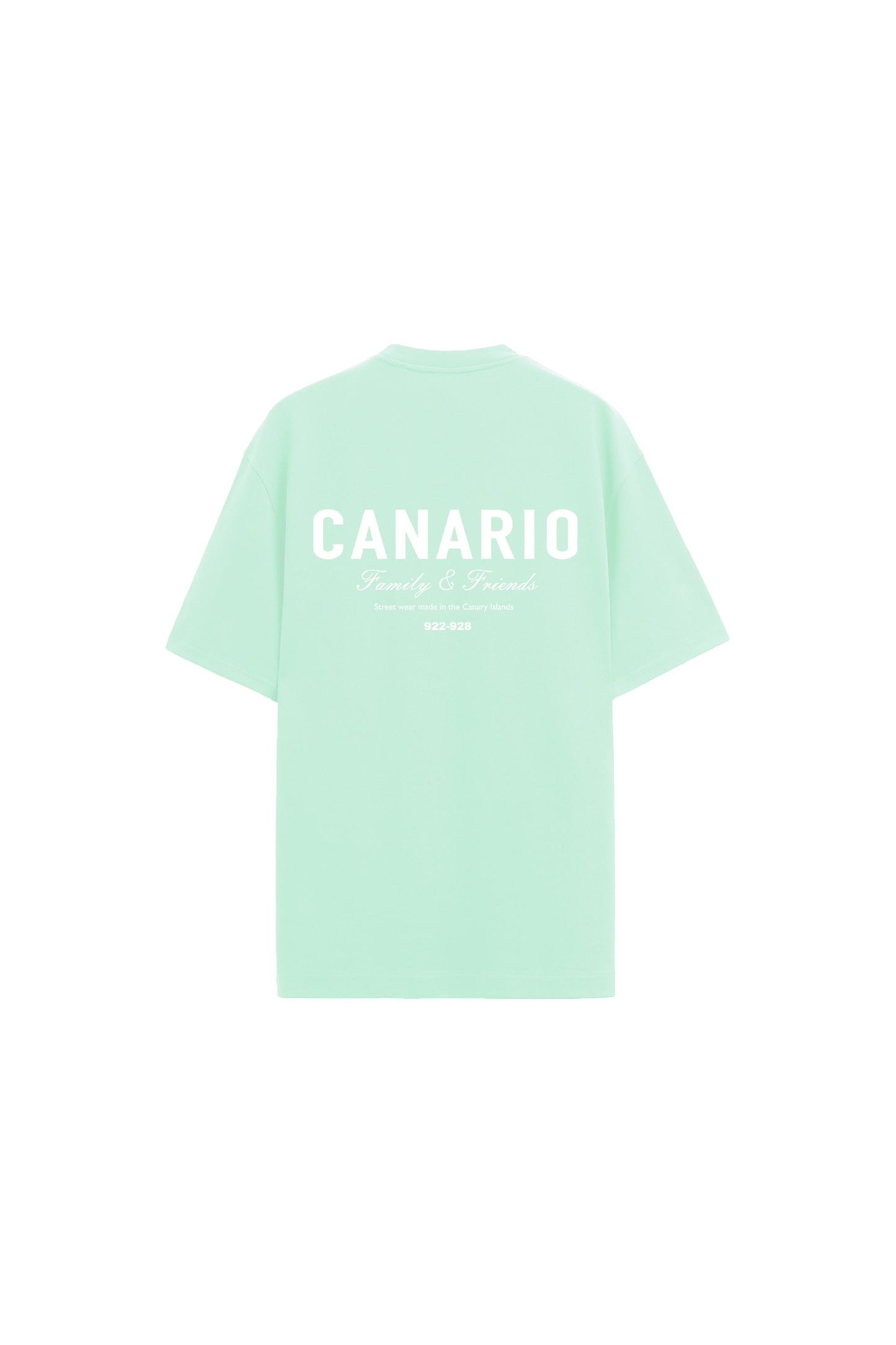 Camiseta Oversize Family & Friends