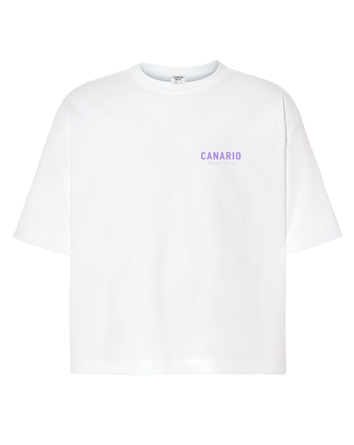 Camiseta Family & Friends Boxy