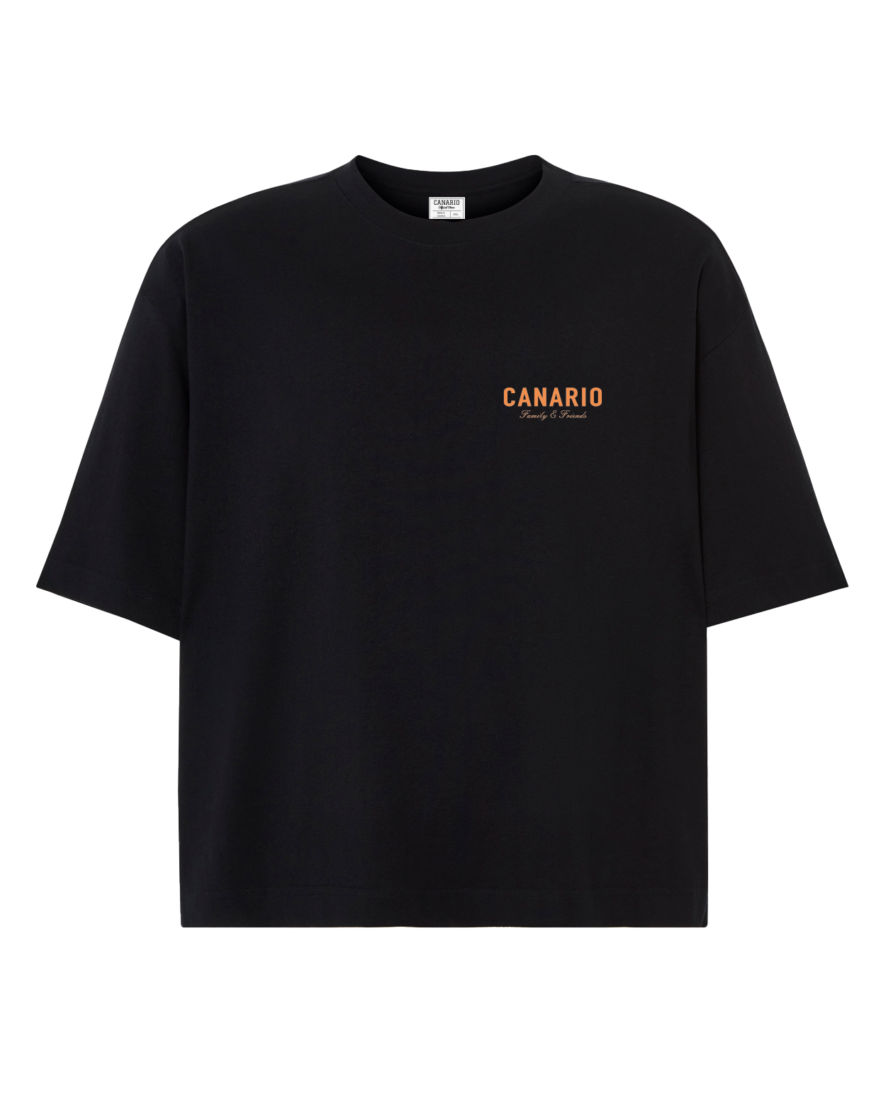 Camiseta Family & Friends Boxy