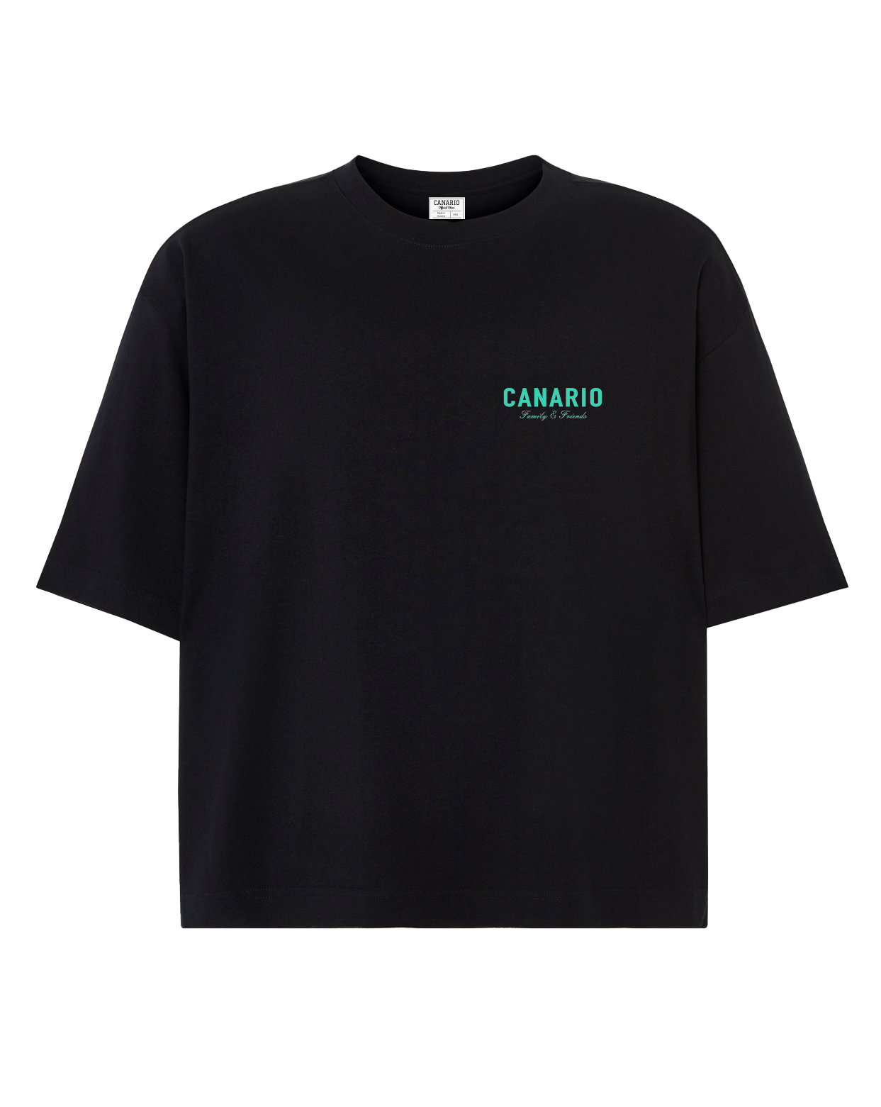 Camiseta Family & Friends Boxy