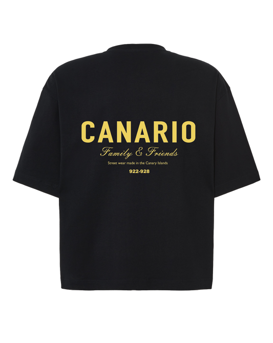 Camiseta Family & Friends Boxy