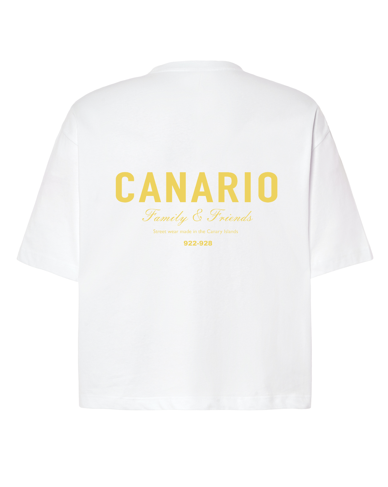 Camiseta Family & Friends Boxy