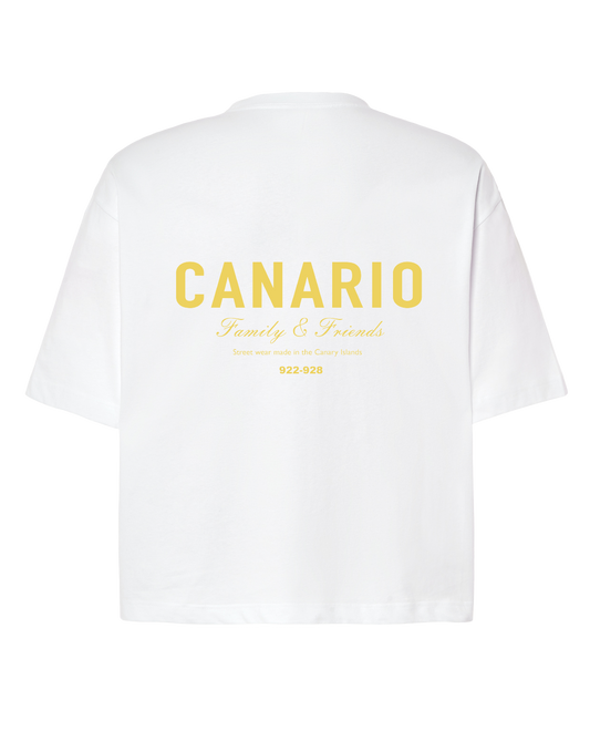 Camiseta Family & Friends Boxy