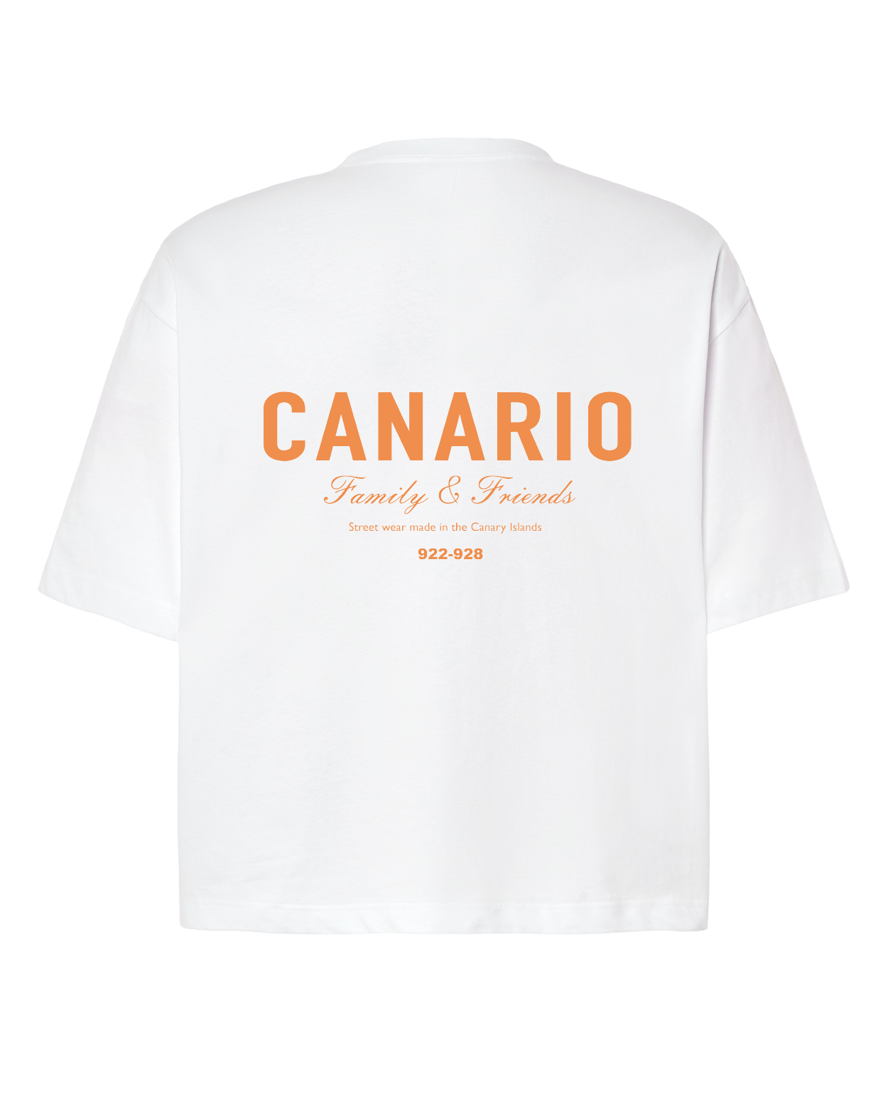 Camiseta Family & Friends Boxy
