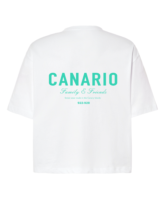 Camiseta Family & Friends Boxy