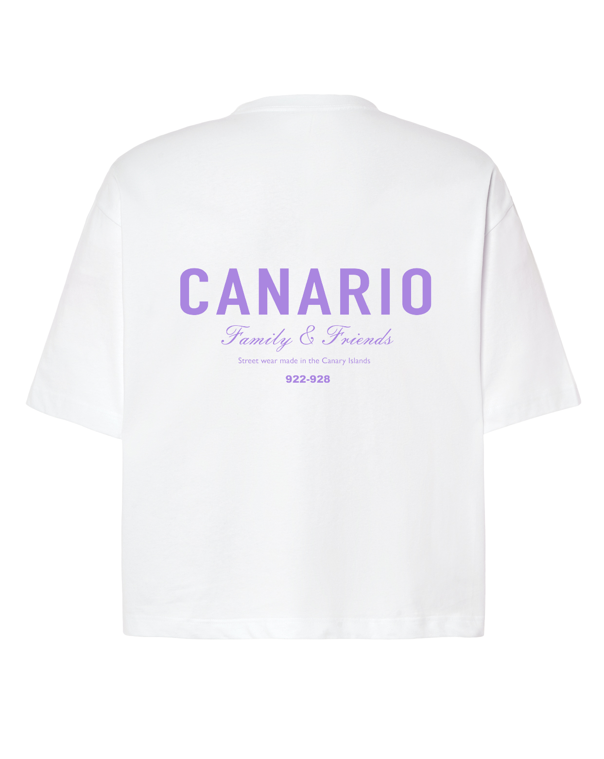 Camiseta Family & Friends Boxy