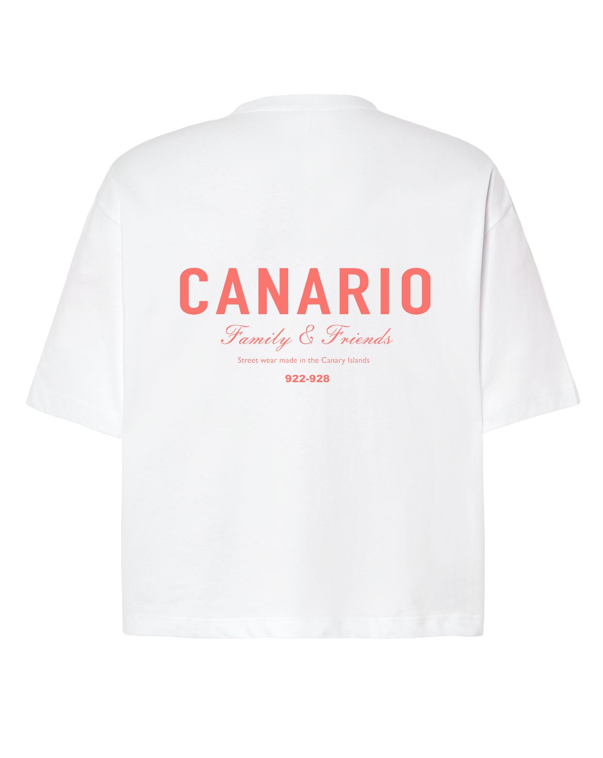 Camiseta Family & Friends Boxy