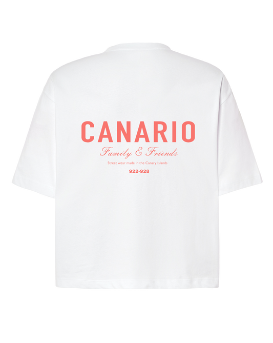 Camiseta Family & Friends Boxy