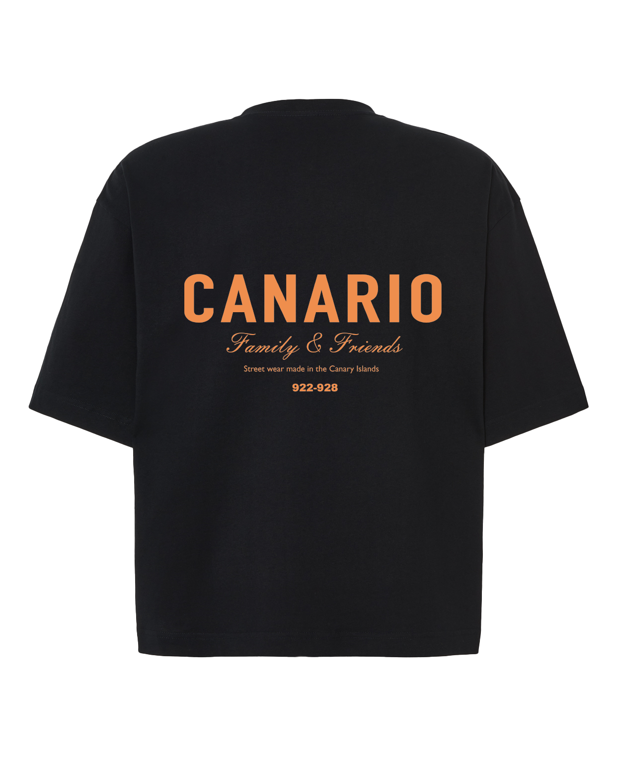 Camiseta Family & Friends Boxy