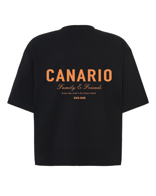 Camiseta Family & Friends Boxy