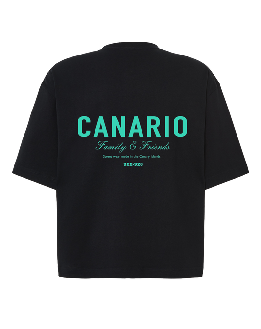 Camiseta Family & Friends Boxy