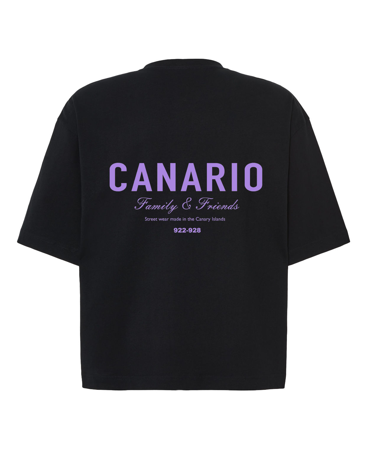 Camiseta Family & Friends Boxy