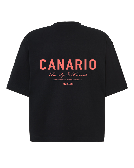 Camiseta Family & Friends Boxy