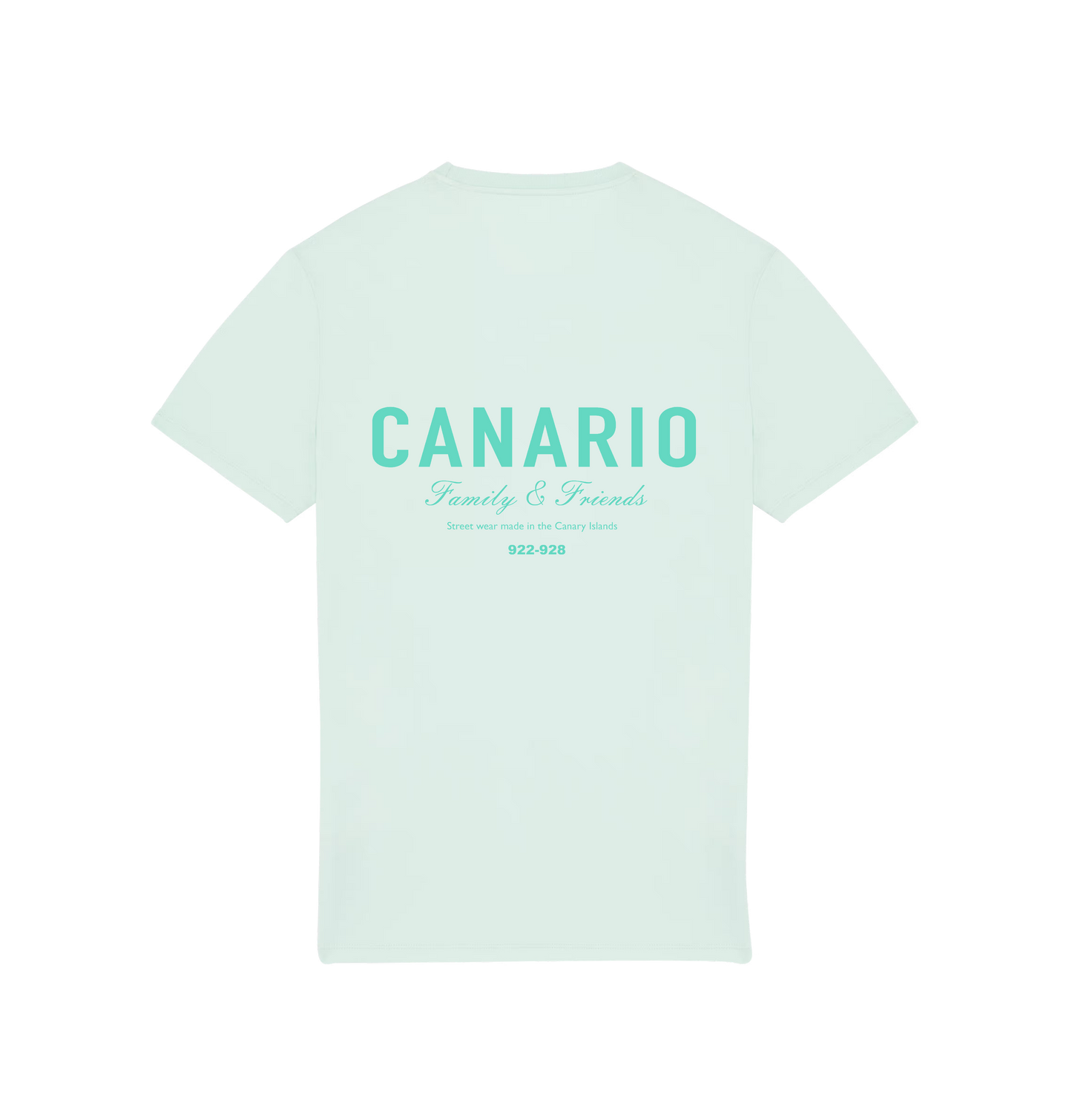 Camiseta Family & Friends