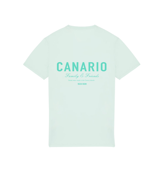 Camiseta Family & Friends