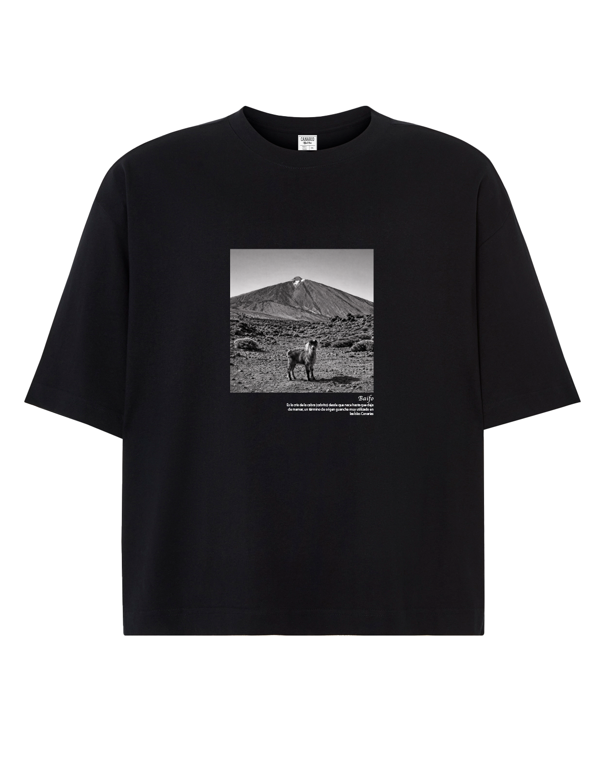 Camiseta Baifo Boxy