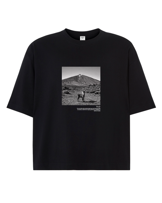 Camiseta Baifo Boxy