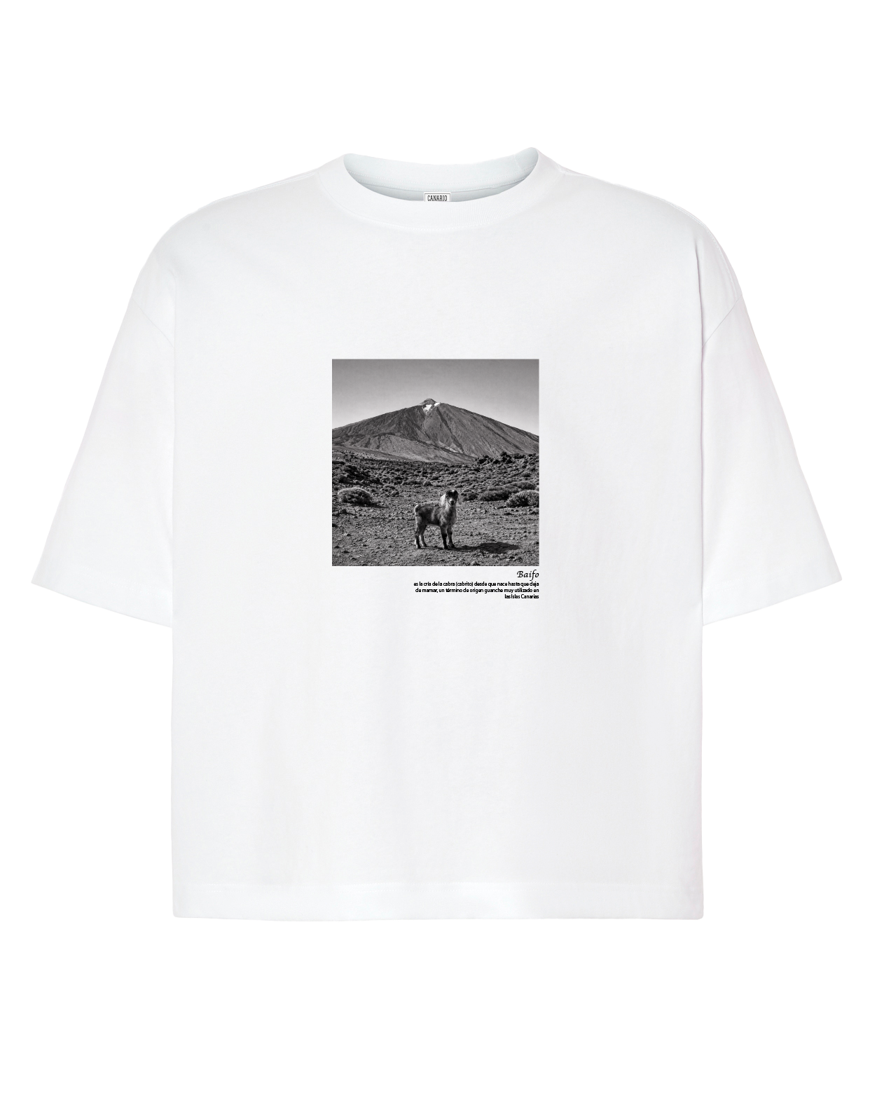 Camiseta Baifo Boxy